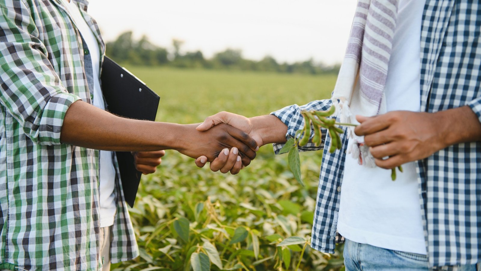 Dívida rural: renegociação bancária e compromissos com fornecedores close up of african farmers shaking hands on the background of a soybean field.